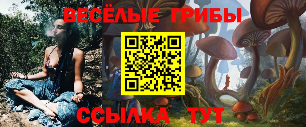 Псилоцибиновые грибы мицелий Волхов