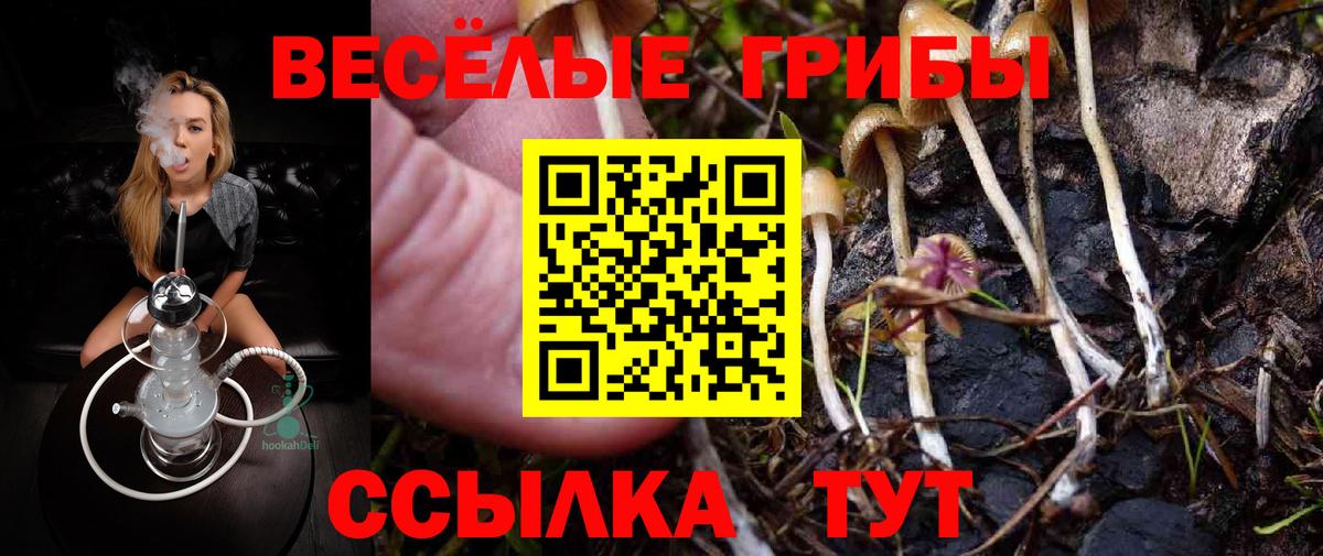Галлюциногенные грибы мицелий  закладки  Волхов  Вход с VPN 
