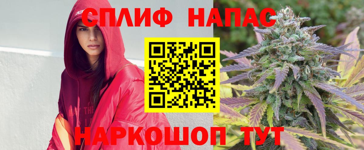 Шишки марихуана Amnesia Волхов